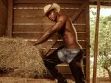 RyanJackson jasmin